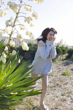 《草莓榴莲向日葵秋葵绿巨人》